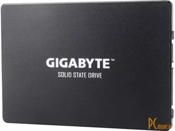 SSD 1TB Gigabyte GP-GSTFS31100TNTD 2.5\'\' SATA-III